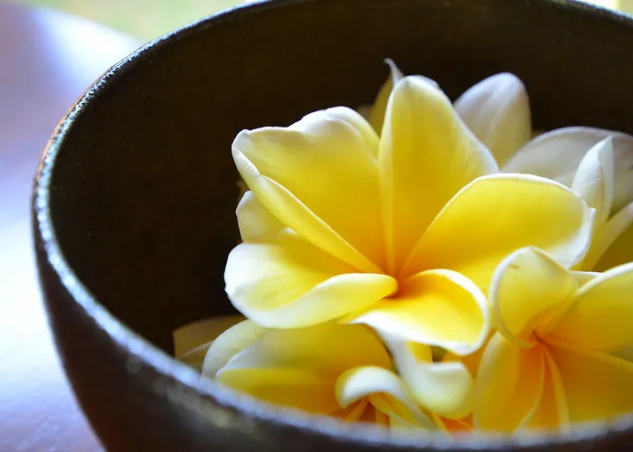 The Ulin Villas And Spa - By Karaniya Experience - Chse Certified Seminyak 
